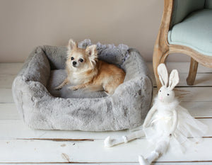 Le lit divin pour chien